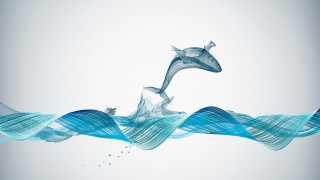 Dolphin ocean wave water 3d - a wave of water free wallpaper