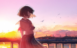 Bridge sunset water bird anime - overhead and a bird free wallpaper