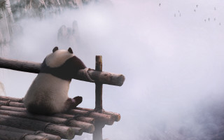 Panda bamboo roof mountains foggy - arthur pan free wallpaper