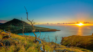Sunset mountain water tree forefront - a sunset over a body of water free wallpaper