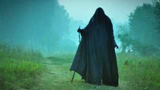 Black cloak forest fog scab - the fog free wallpaper