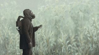 Man field camera foggy sky - free halloween wallpaper