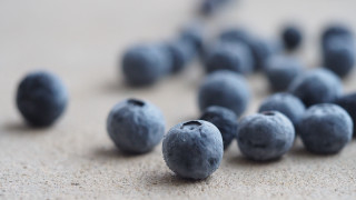Blueberries ground macro photorealism bokeh - the ground together free wallpaper