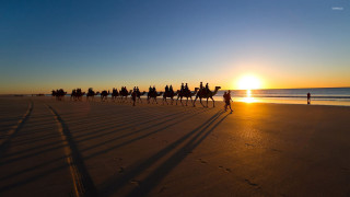 Beach sunset horseback riders ocean - a group of people riding free wallpaper