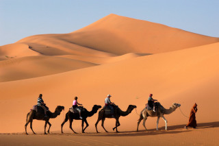 Camel riders desert group adventure 3 - egyptian art free wallpaper