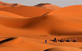 Camel riders desert landscape sahara - farid mansour free wallpaper for desktop