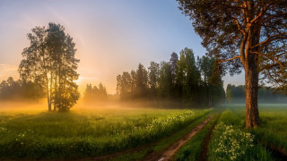 Sunset dirtroad trees lake mountain - andrey ryabovichev free wallpaper for desktop