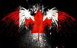 Canadian flag wings painted red - wing free wallpaper for desktop