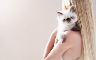 Blonde woman holding white cat - her head and a cat free wallpaper