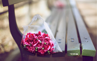 Flower bouquet plastic bag park - the bench free wallpaper