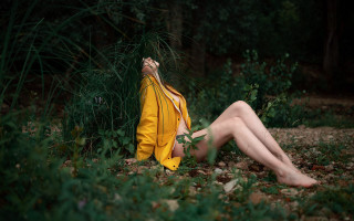 Woman yellow jacket woods sitting - a yellow jacket free wallpaper