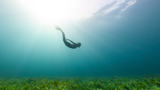 Ocean swimming sunshine grass sense - sense of depth free wallpaper