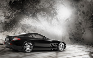 Black sports car dark forest - a dark forest free wallpaper