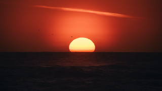 Sunset ocean boat birds matte - fitz henry lane free wallpaper
