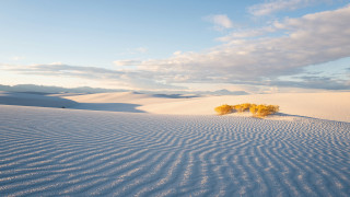 Desert trees clouds sunset ocean - a desert landscape free wallpaper
