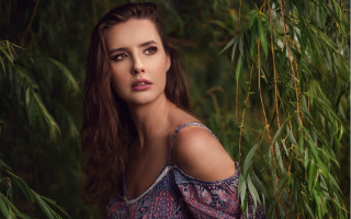 Woman long hair blue dress 5 - a tree branch free wallpaper