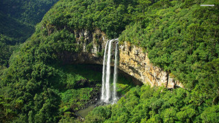 Waterfall forest bridge river nature - the middle of the forest free wallpaper