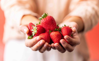 Strawberry hands red background closeup - a red wall behind them free wallpaper