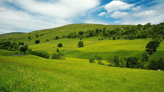 Lush green hillside blue sky 2 - a lush green hillside free wallpaper