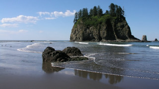 Beach rock formation trees ocean - free beach wallpaper for desktop