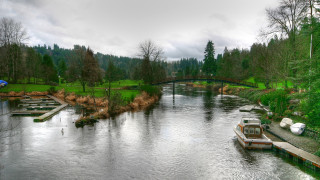 Boat bridge water trees green - a grassy area free wallpaper