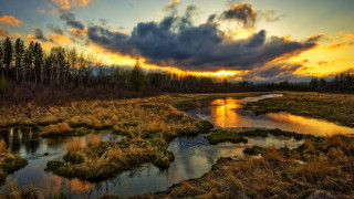 River forest sunset clouds puzzle - a lush green forest under a cloudy sky free wallpaper