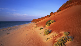 Sandy beach bushes ocean cliff - the sand and water free wallpaper