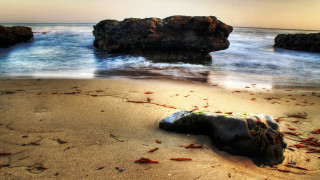 Beach rock water blood outcropping - the background and a rock free wallpaper