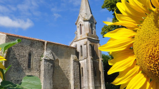 Sunflower church blue sky flemish - composition free wallpaper