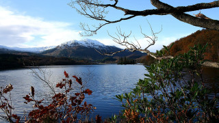 Lake mountains trees autumn leaves - mountain and trees free wallpaper