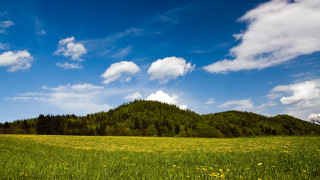Mountain field clouds yellowflowers landscape - a few yellow flower free wallpaper