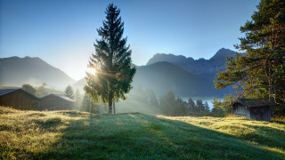 Grassy field tree mountains sunshine - a tree and mountains free wallpaper