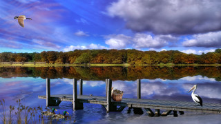 Bird dock lake boat sky - a boat free wallpaper for desktop