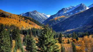 Mountain range forest road blue - bob thompson free wallpaper for desktop