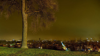 Tree grassy field city night - the building free wallpaper for desktop
