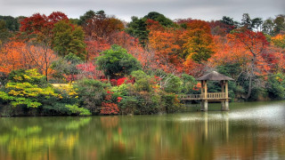 Gazebo lake trees fall bridge - fall free wallpaper for desktop