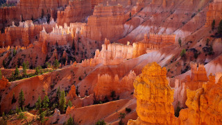 Canyon trees autumn fire sunset - a view of a canyon free wallpaper