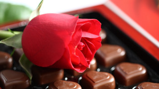Rose chocolates red roses still - a red box free wallpaper