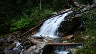 Waterfall woods fallen branch log - fallen free wallpaper