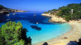 Beach boats trees sky landscape - free summer wallpaper for desktop