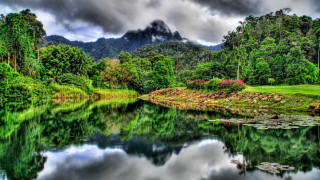 Lake forest mountain clouds lily - free landscape wallpaper