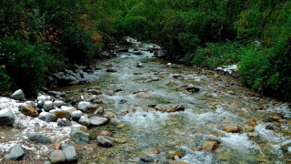 Forest river snow rocks trees - the middle of a forest area free wallpaper