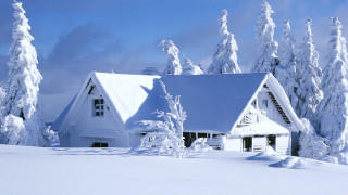 House snowy field trees blue 3 - free winter wallpaper