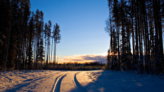Snowy forest road matte painting - a road in the middle of a forest free wallpaper