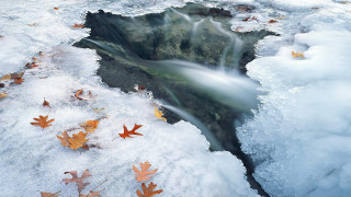 Winter waterfall leaves rocks autumn - ground next free wallpaper for desktop