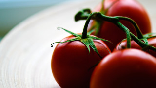 Tomatoes plate closeup macro photorealism - tomato free wallpaper