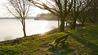 Bench lake trees sunshine romanticism - german romanticism free wallpaper for desktop