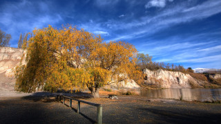 Yellow leaves tree water mountain - albert namatjira free wallpaper