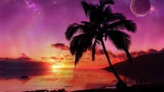 Palm tree silhouette sunset ocean 5 - against a sunset over the ocean free wallpaper