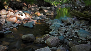 Lush forest stream rocks mountains - the rock free wallpaper